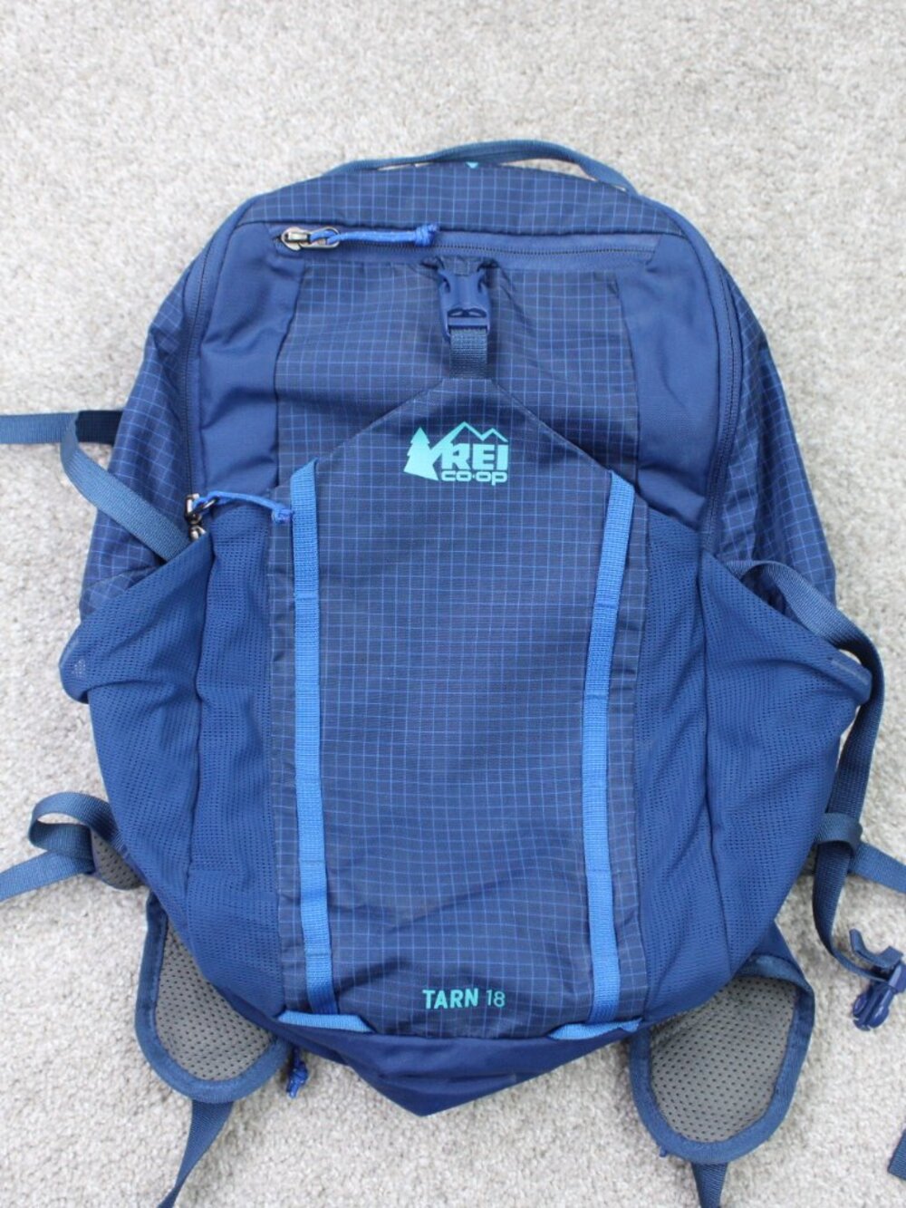 REI Co-op Tarn 18 Kids Youth Hiking Backpack 18L Blue Lightweight Daypack Travel